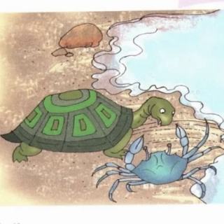 小乌龟